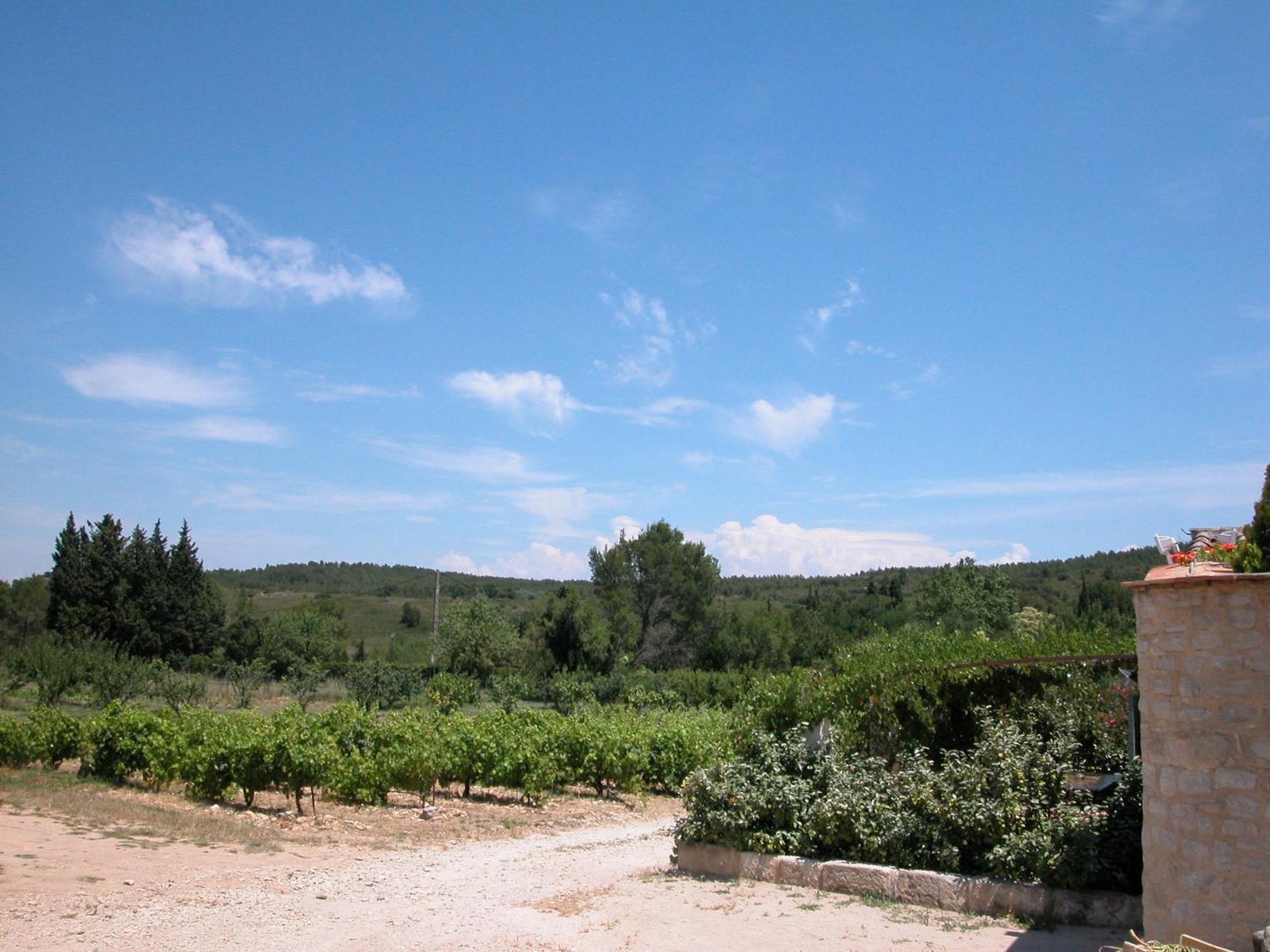 Le Mazet De La Dame Bed & Breakfast Barbentane Exterior foto