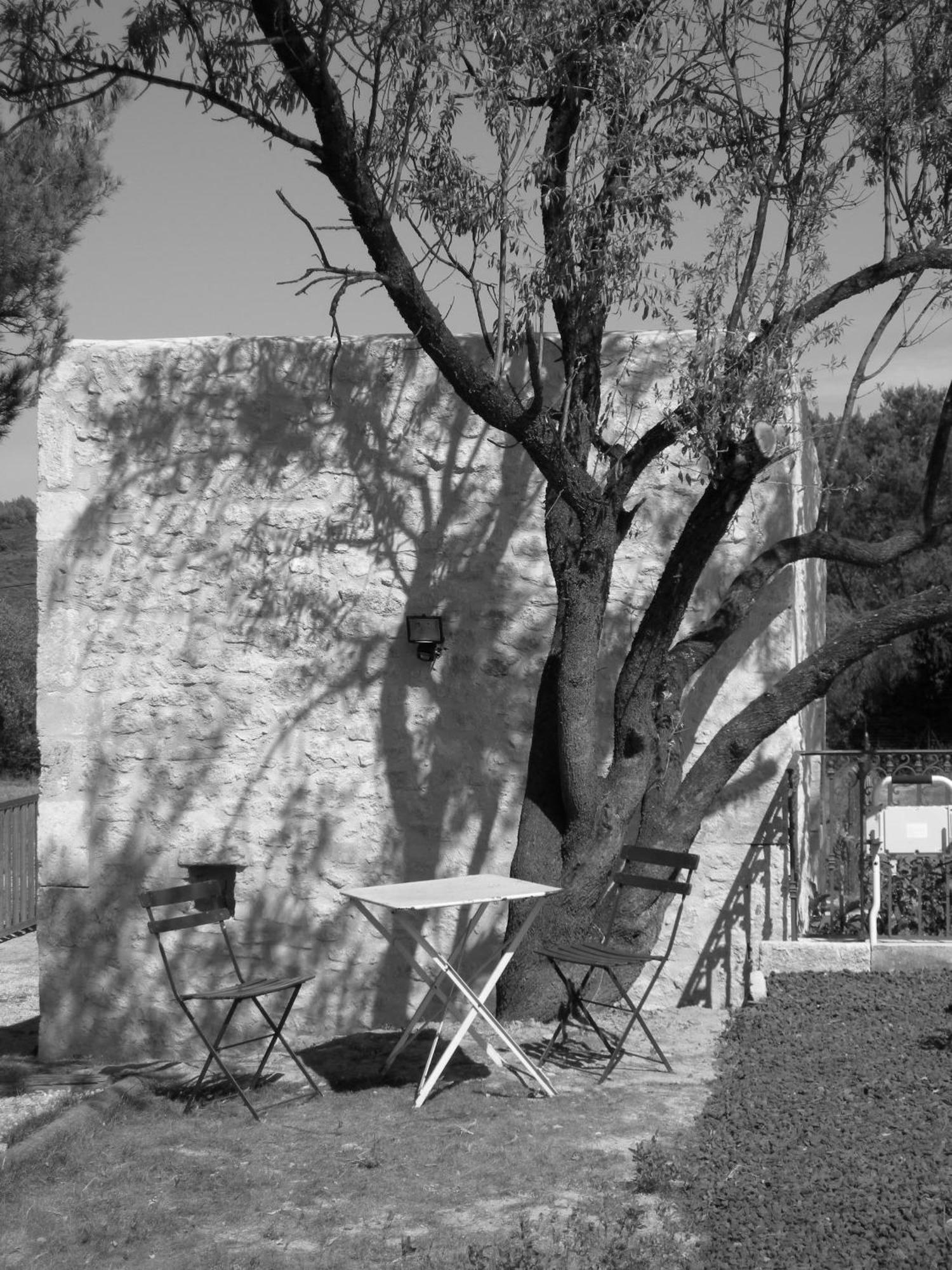 Le Mazet De La Dame Bed & Breakfast Barbentane Exterior foto